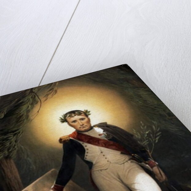 Napoleon Leaving his Tomb, c.1860 by Emile Jean Horace Vernet