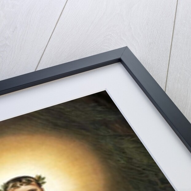 Napoleon Leaving his Tomb, c.1860 by Emile Jean Horace Vernet