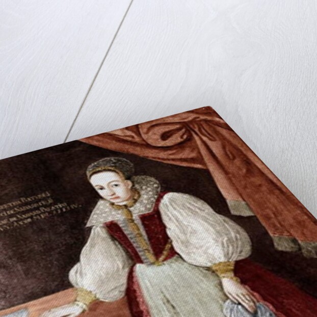 Elizabeth Bathory by Unknown Artist