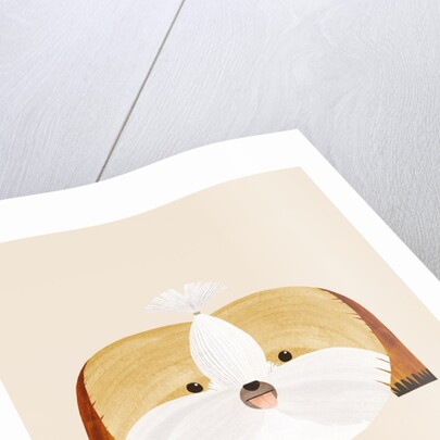 Shih tzu, 2019 by Léa Le Pivert