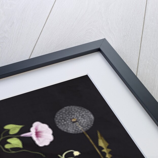 Veggies and Blooms, 2023 by Léa Le Pivert