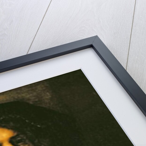 Portrait of a Young Man, 1658 by Rembrandt Harmensz. van Rijn