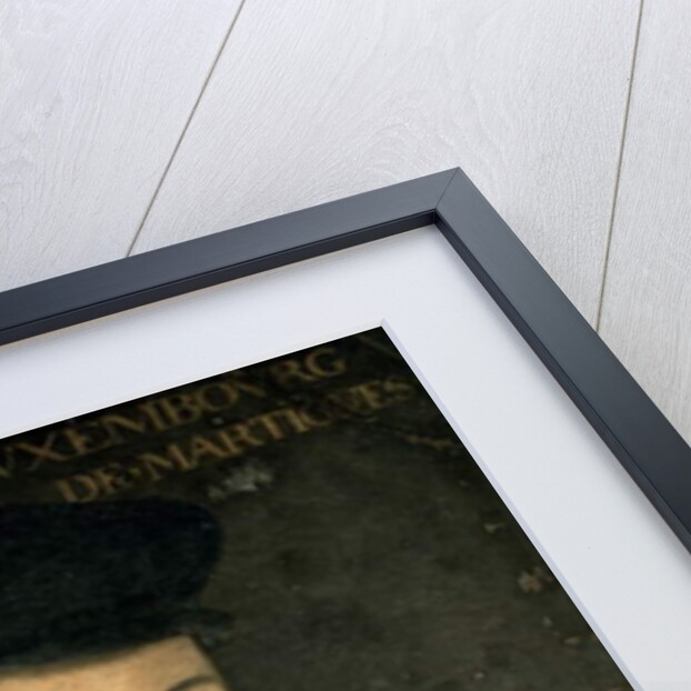 Sebastien of Luxemburg, Viscount of Martigues by French School