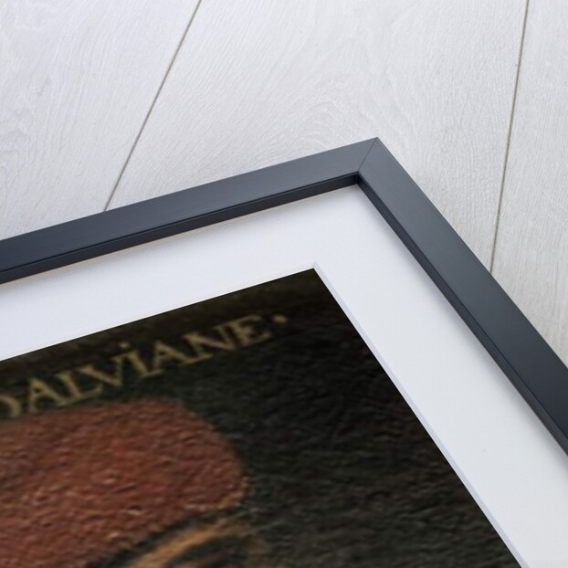 Bertelemy d'Alviane by French School