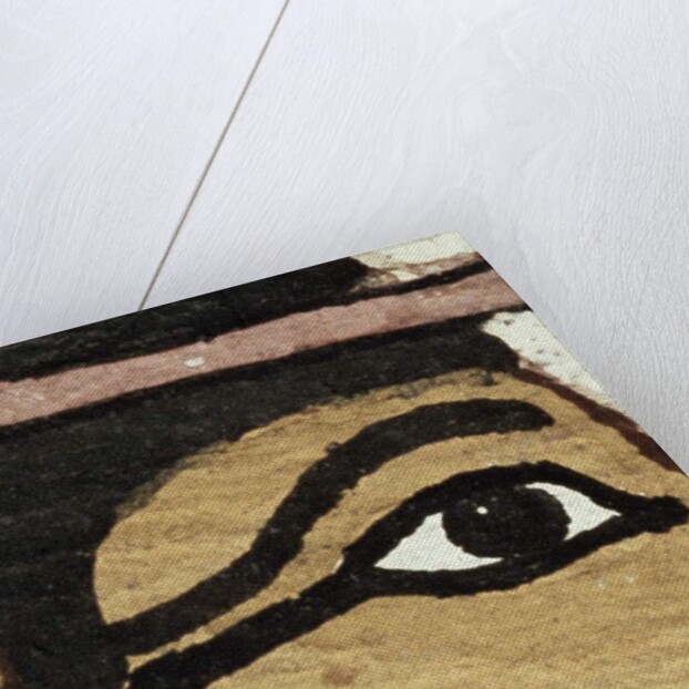 Detail of the decoration of a sarcophagus of The Lady of Madja, New Kingdom, c.1450 BC by Egyptian 18th Dynasty