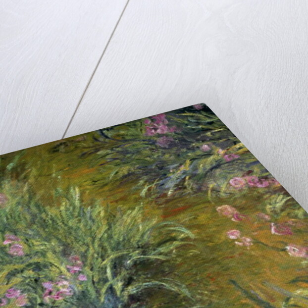 Iris by Claude Monet