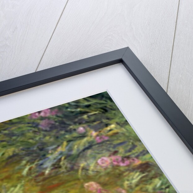 Iris by Claude Monet