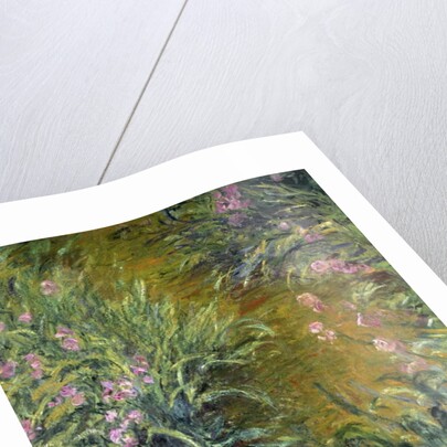 Iris by Claude Monet