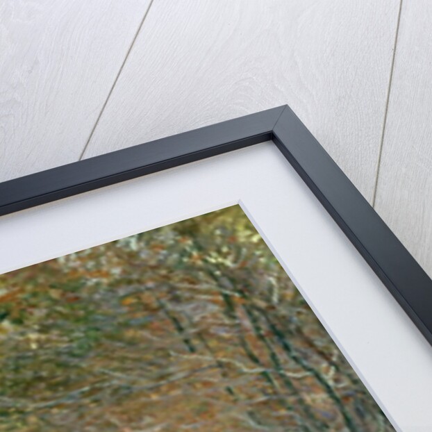 The Shoot, 1876 by Claude Monet