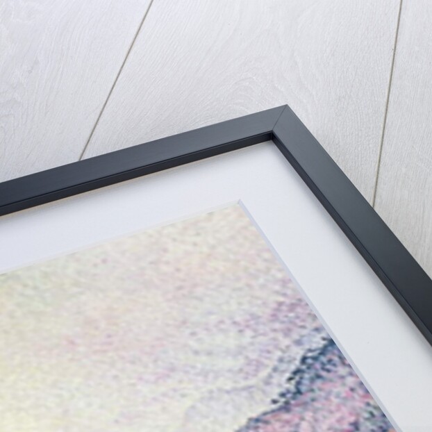 The Cliffs at Castellane, 1902 by Paul Signac