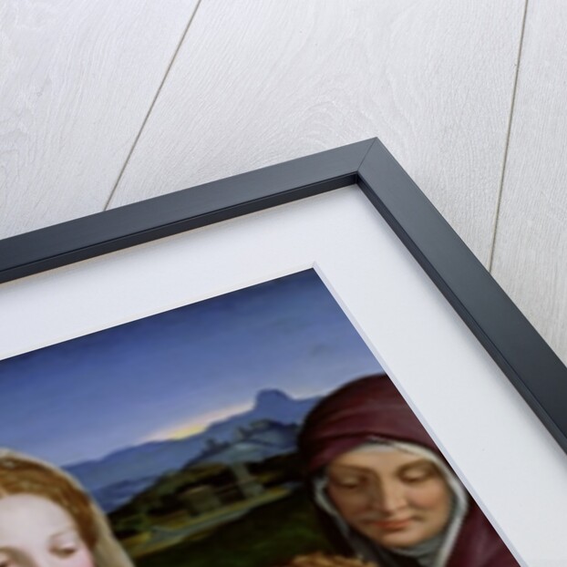 Holy Family with St. Anne and the infant St. John the Baptist, c.1550 by Agnolo di Cosimo Bronzino