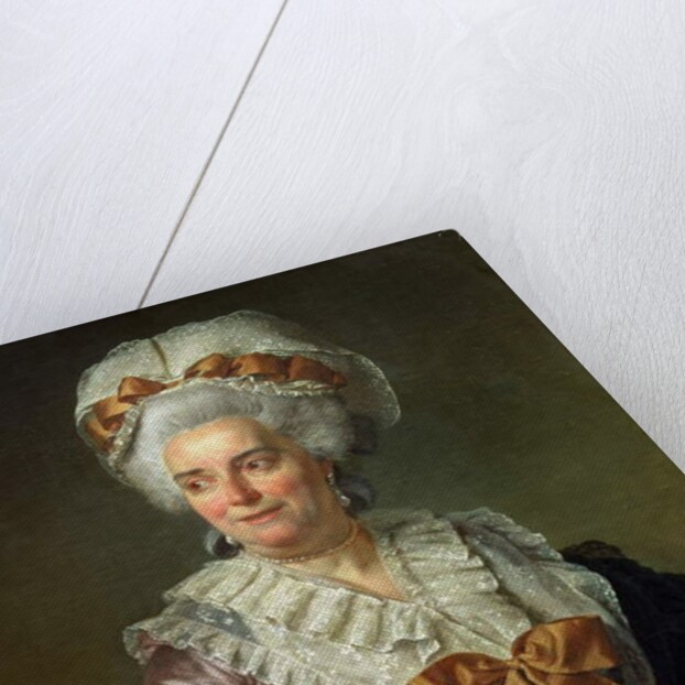 Portrait of Madame Charles-Pierre Pecoul, nee Potain, mother-in-law of the artist, 1784 by Jacques Louis David