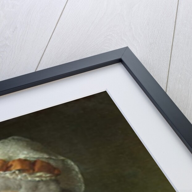 Portrait of Madame Charles-Pierre Pecoul, nee Potain, mother-in-law of the artist, 1784 by Jacques Louis David