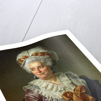 Portrait of Madame Charles-Pierre Pecoul, nee Potain, mother-in-law of the artist, 1784 by Jacques Louis David