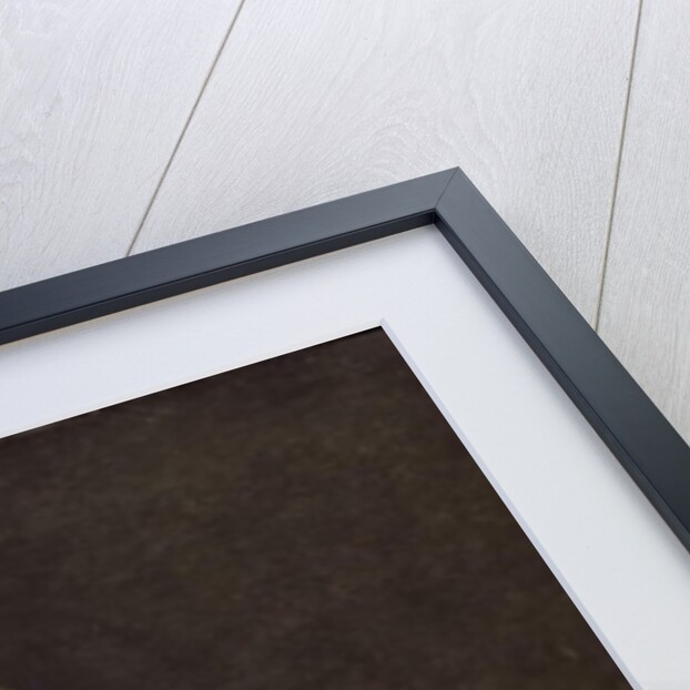 Portrait of Charles-Pierre Pecoul, 1784 by Jacques Louis David