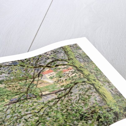 Through the Trees, 1878 by Claude Monet