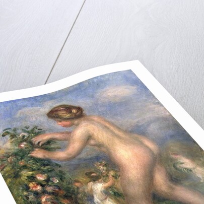 Female nude picking flowers by Pierre Auguste Renoir