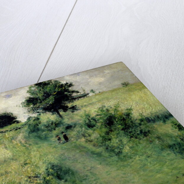 The Watering-place, 1873 by Pierre Auguste Renoir