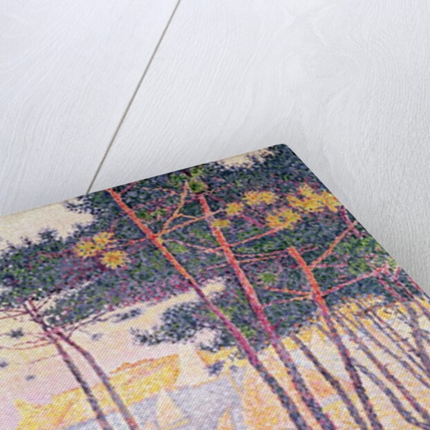 Sailing boats and pine trees, 1896 by Paul Signac