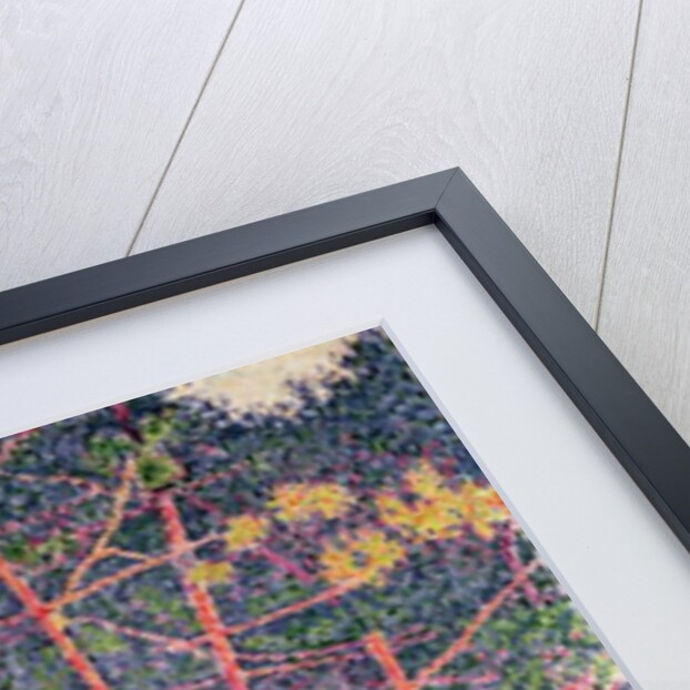 Sailing boats and pine trees, 1896 by Paul Signac