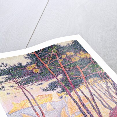 Sailing boats and pine trees, 1896 by Paul Signac