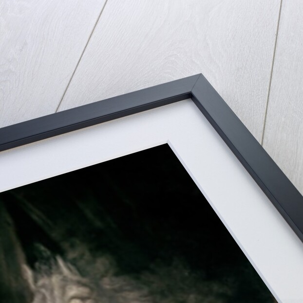 The Nightmare, 1790-91 by Henry Fuseli