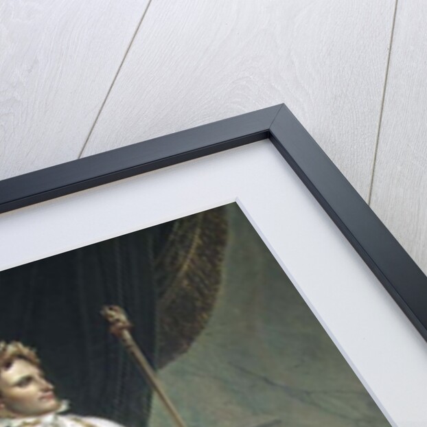 Portrait of Napoleon I in his Coronation Robes, 1804 by Anne Louis Girodet de Roucy-Trioson