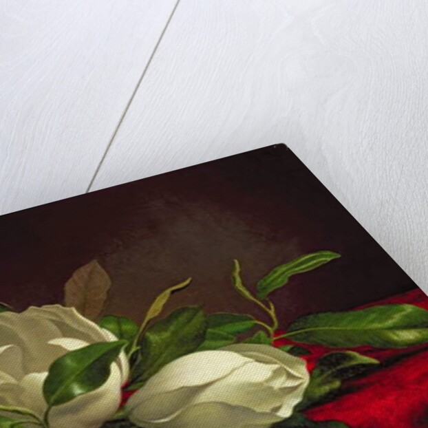 Magnolia by Martin Johnson Heade