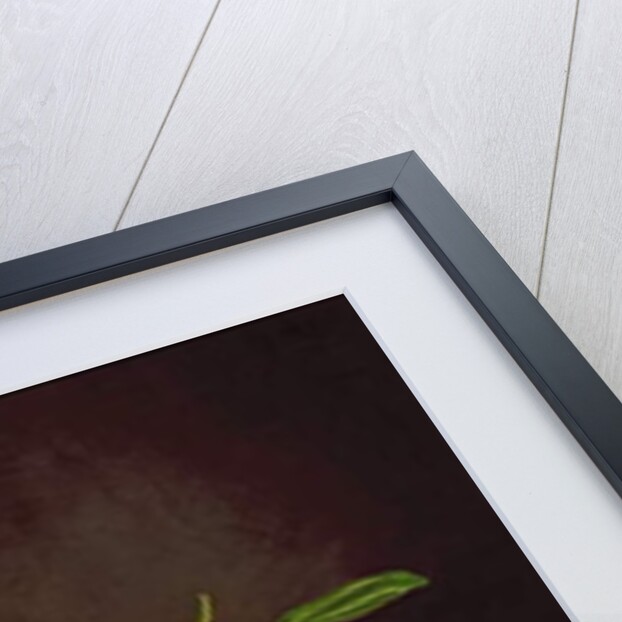 Magnolia by Martin Johnson Heade