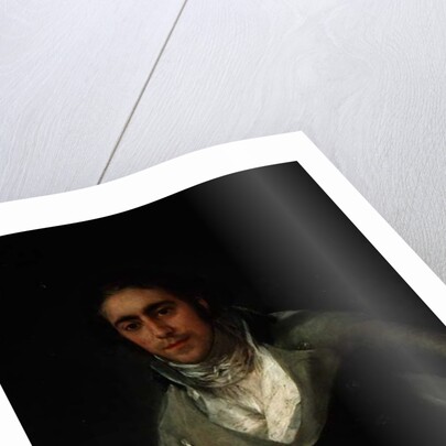 Portrait of a man presumed to be Don Evaristo Perez de Castro by Francisco Jose de Goya y Lucientes