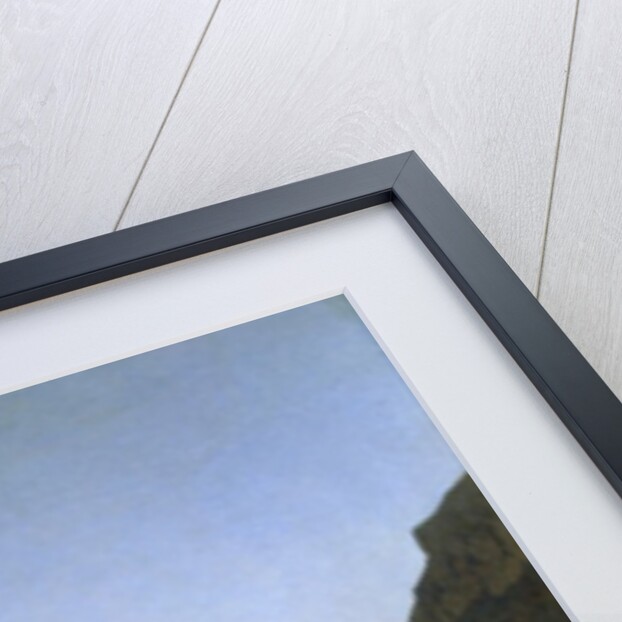 Laghouat in the Algerian Sahara, 1879 by Gustave Guillaumet