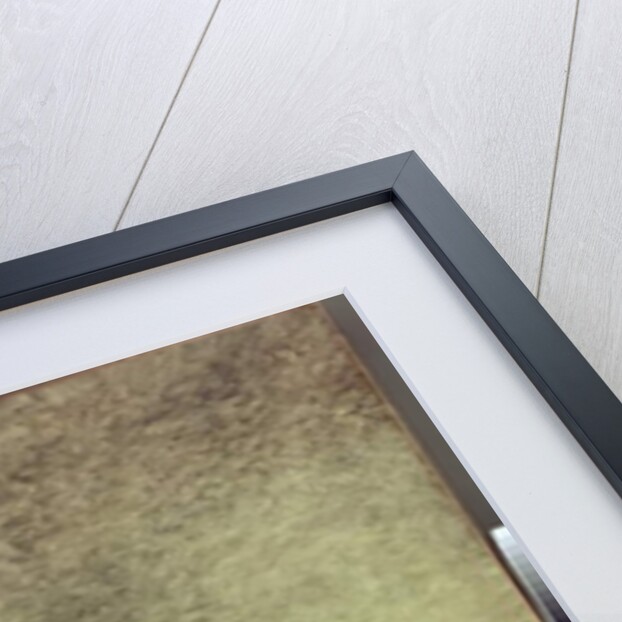 The death of Joseph Barra by Jacques Louis David