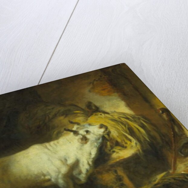 The White Bull in the Stable by Jean-Honore Fragonard