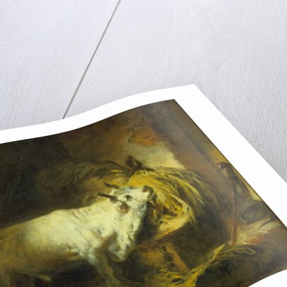 The White Bull in the Stable by Jean-Honore Fragonard