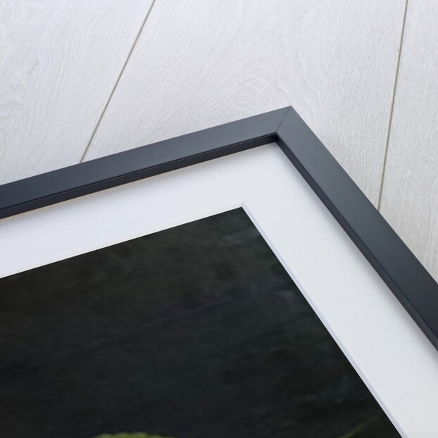 A Bowl of Cherries with Plums and a Melon, 1635 by Louise Moillon