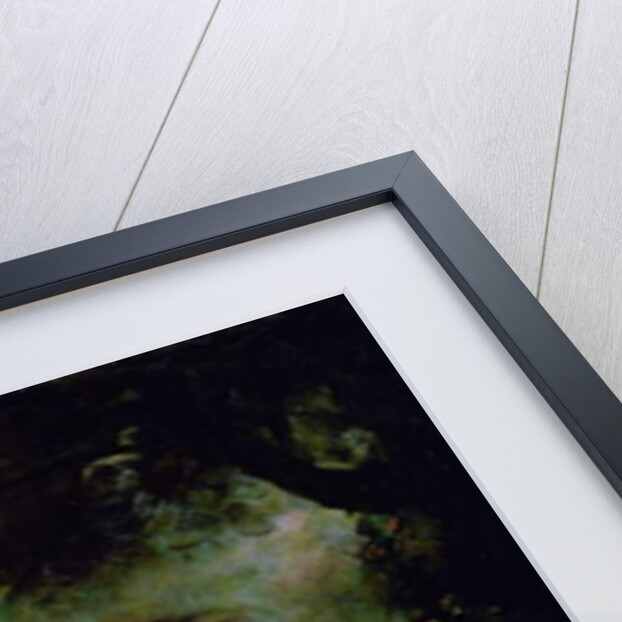 Portrait of Francis George Hare, oldest son of Francis Hare Naylor 1788-9 by Joshua Reynolds