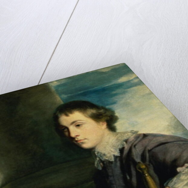 Portrait of John Charles Spencer, Lord Althorp by Joshua Reynolds