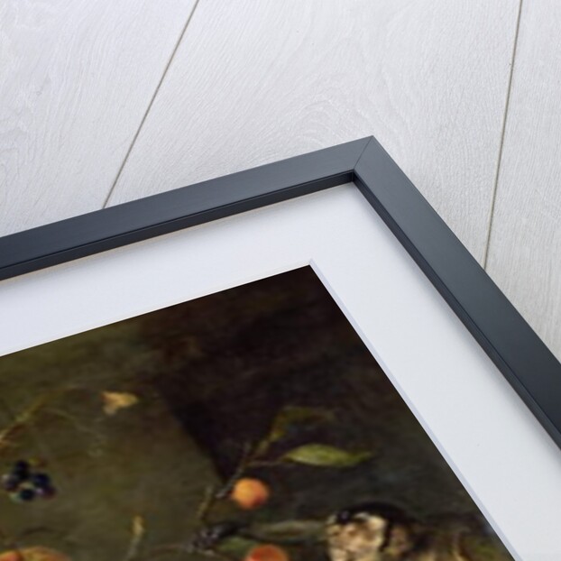 Three Monkeys Stealing Fruit by Frans Snyders or Snijders