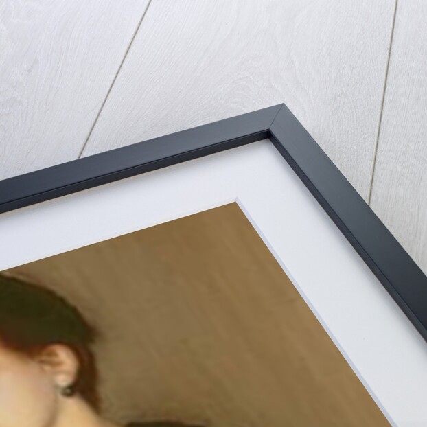 Portrait of Madame Vasnier, 1888 by Jacques-Emile Blanche