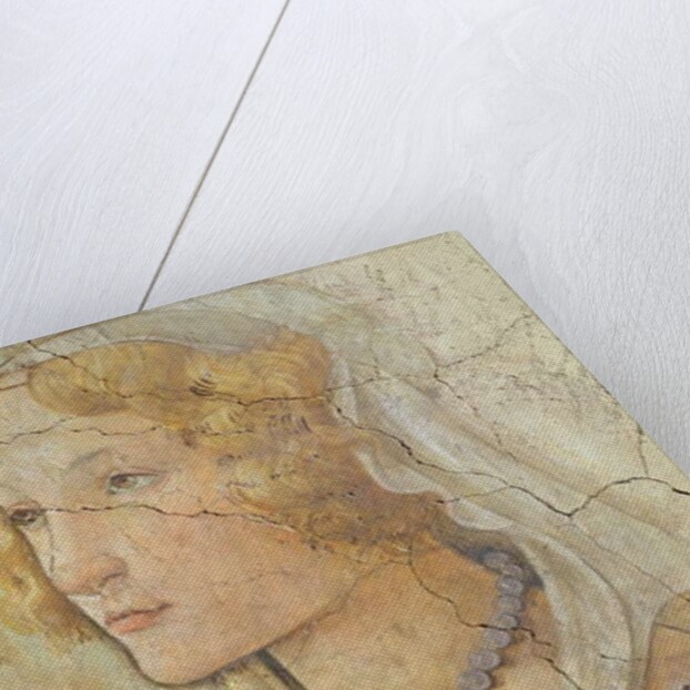 Venus and the Three Graces Offering Gifts to a Girl by Sandro Botticelli