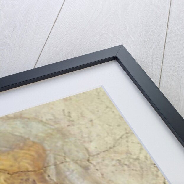 Venus and the Three Graces Offering Gifts to a Girl by Sandro Botticelli