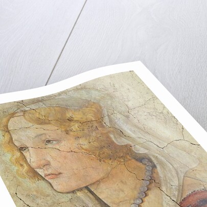 Venus and the Three Graces Offering Gifts to a Girl by Sandro Botticelli