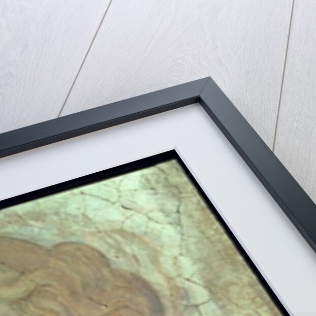 Venus and the Three Graces Offering Gifts to a Young Girl by Sandro Botticelli