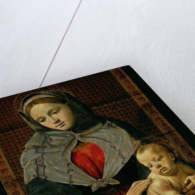 Madonna and Child with a Dove by Piero di Cosimo