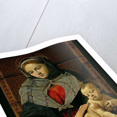 Madonna and Child with a Dove by Piero di Cosimo