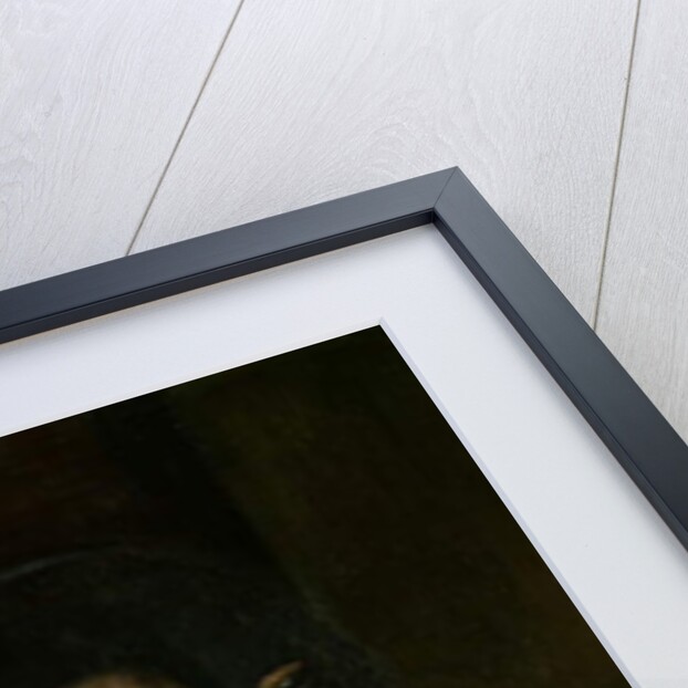 Portrait of a man, possibly Cesare Borgia by Dosso Dossi