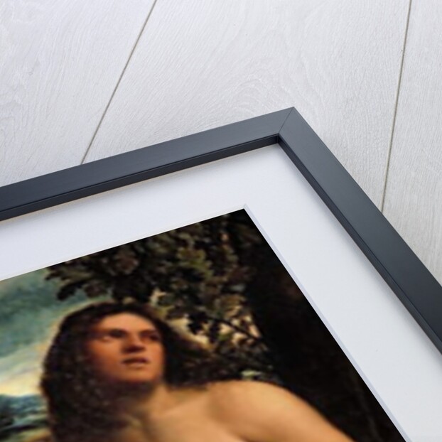 Sacra Conversatione with SS. Catherine, Sebastian and Holy Family by Sebastiano del (c.1485-1547) Piombo