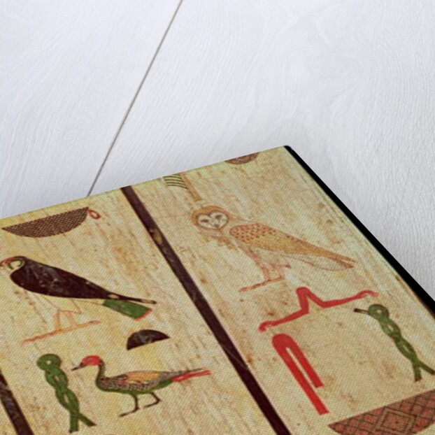 The sarcophagus of Psamtik I detail of hieroglyphics, Late Period by Egyptian 26th Dynasty