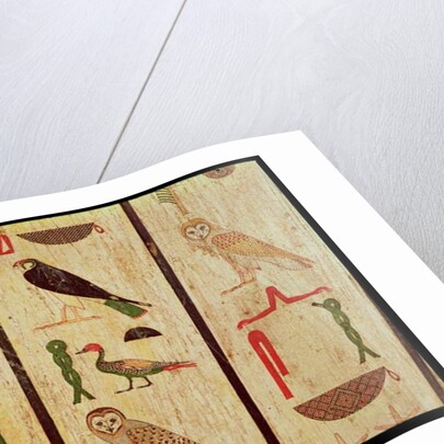 The sarcophagus of Psamtik I detail of hieroglyphics, Late Period by Egyptian 26th Dynasty