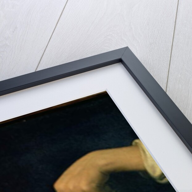 Salome with the Head of St. John the Baptist by Bernardino Luini